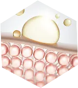 Enriched with GHK-CU peptide